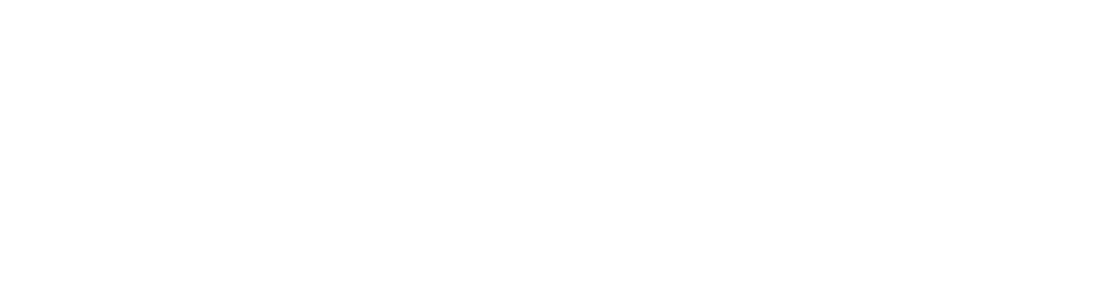 Reply Consulting Group